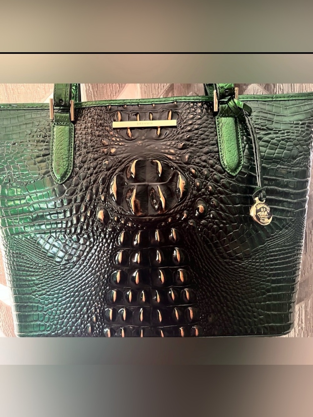 NWT Brahmin EVERGREEN Medium Asher Ombre Melbourne Tote
